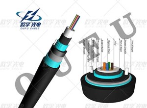 Икства 53 2-24 шӧз ДДДИСАЛДАЛАСКОН